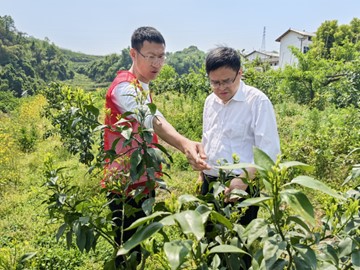1745225368583853.jpg 图片2.jpg