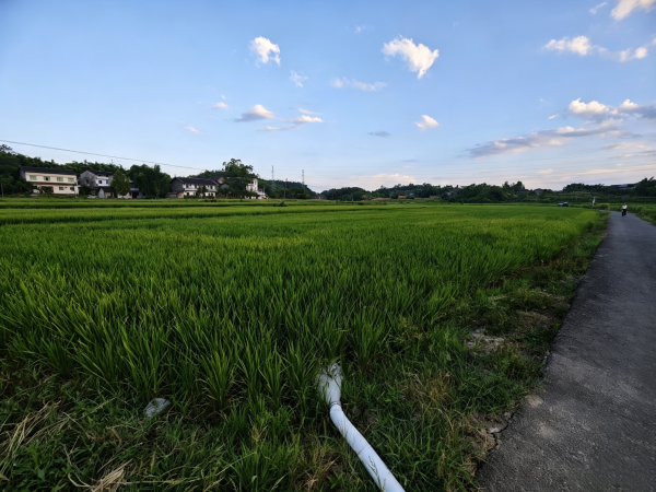 1786329712873140.png 图片3.png